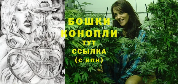 трава Беломорск