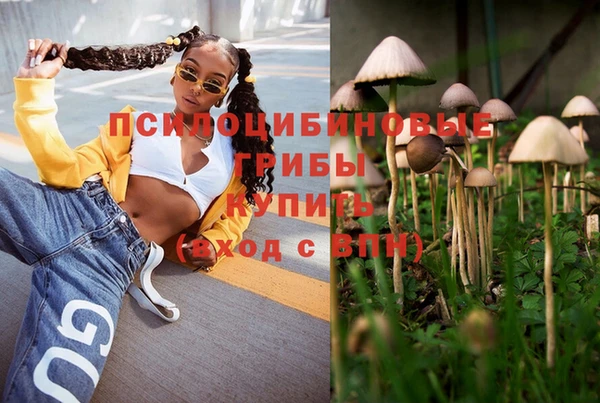 mix Богородск