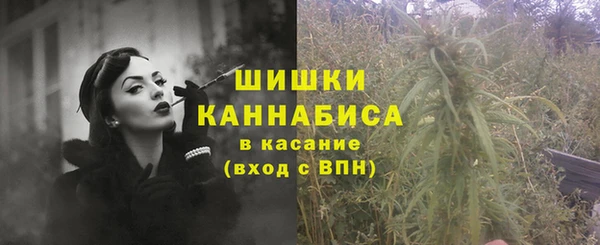 тгк Богородицк
