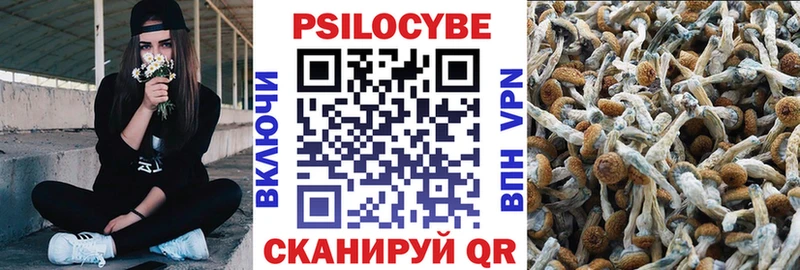 Галлюциногенные грибы ЛСД  Высоцк 